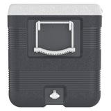 IcePeak CoolCraft 120 Buzluk 113 Litre-FÜME